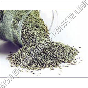 Fennel Seed