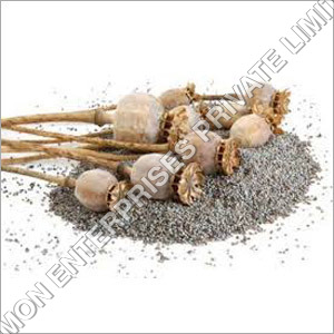 Poppy Seed