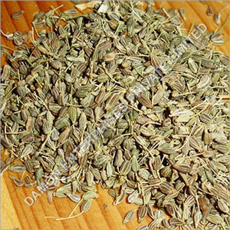 Aniseed
