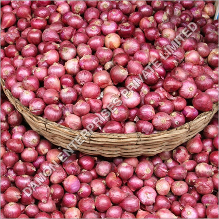 Onion
