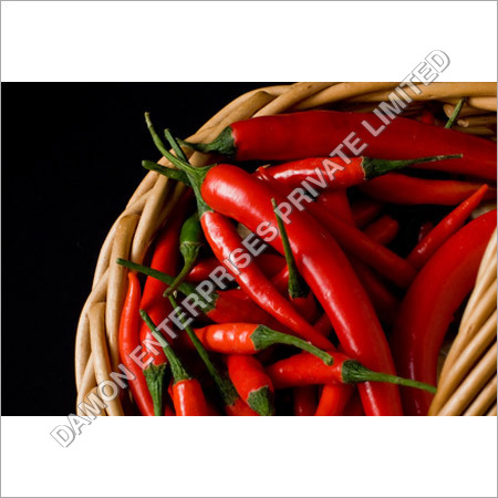 Fresh Red Chilli