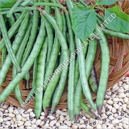 Green Cowpeas