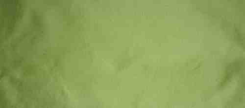 GREENY