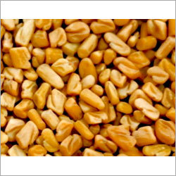 Fenugreek Seed