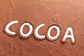 Cocoa Powder