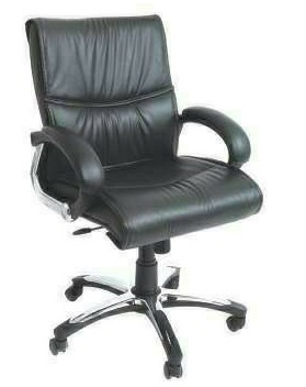 Low Back Leather Chair