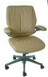 Low Back Executive Chair