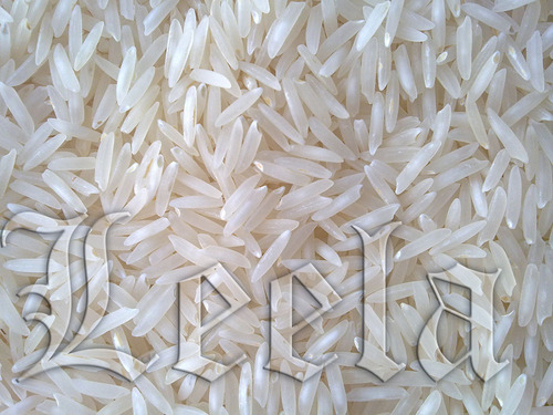 BR-2655 (Produced in SFPP Project, VC Farm, Mandya, Karnataka, India)