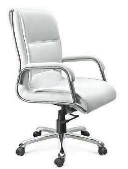 Low Back Executive Chair