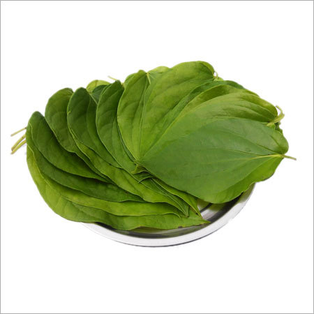 Betel Leaf