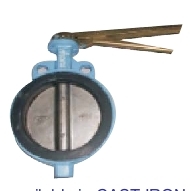 Butterfly Valve