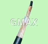 Early Streamer Emission