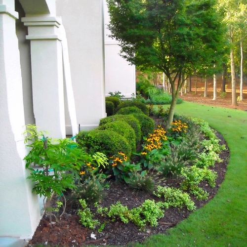 Landscaping Solution