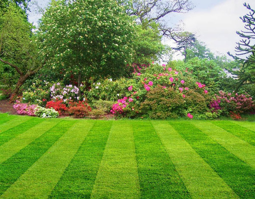 Garden Development Services