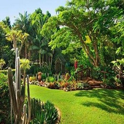 Outdoor Garden Maintenance