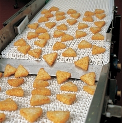 Frozen Food Belt Conveyor