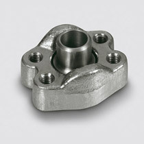Pipe Flange