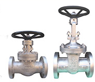 Gate Valves - Different Sizes, Epoxy Powder Coated | Rugged Design, Easy Install
