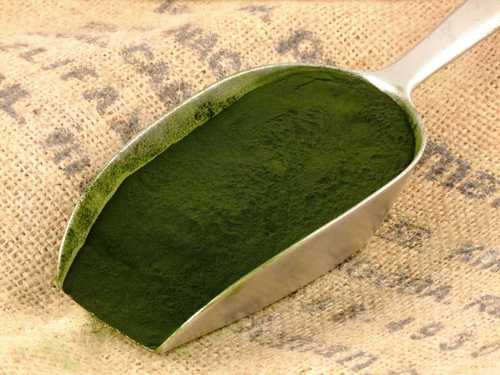 Spirulina Powder