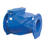 Resilient Soft Seated Non Return Valve