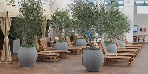 AQ Aquarian 1 - Concrete, 500mm Diameter x 550mm Height, Gray | Durable, Water Resistant, Textured Finish, Round Planter