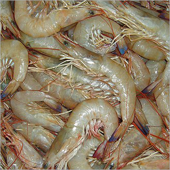 Industrial Vannaime Prawn