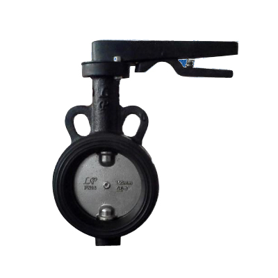 CI Butterfly Valve