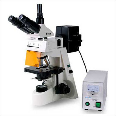 Fluorescence Microscopes