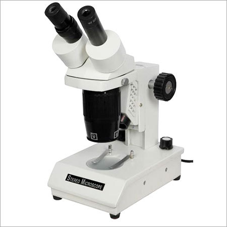 Stereo Microscope