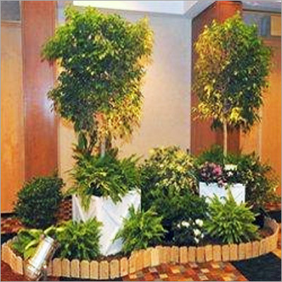 Plant Rental Services