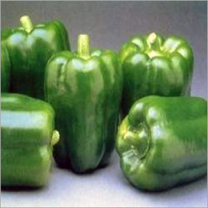 Capsicum Plants Services