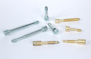 Brass Sealing Screws