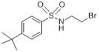 4(tertiary) Butyl Benzene Sulfonamide