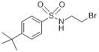 4 (Tertiary) butyl Benzene Sulfonamide