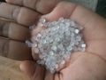 Polypropylene Granules