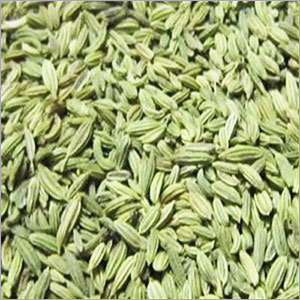 Green Fennel Seeds