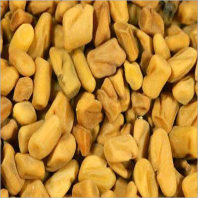 Yellow Fenugreek