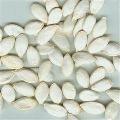 White Watermelon Seeds