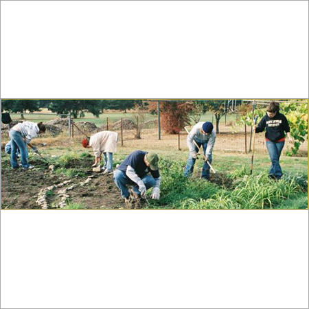 Gardening Workers