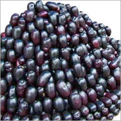 Frozen Jamun