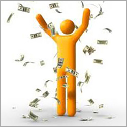 Consultancy For Government Incentive Schemes