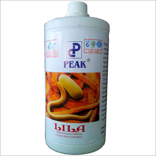 Paecilomyces Macinus