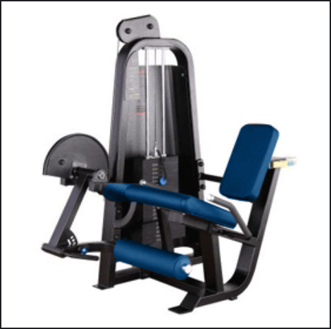 Leg Extension