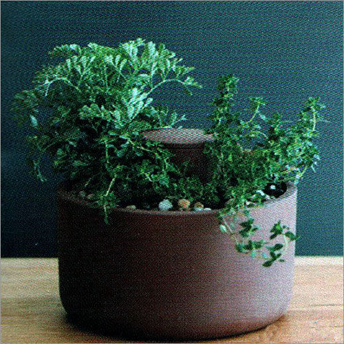 Grc Small Plants Pot