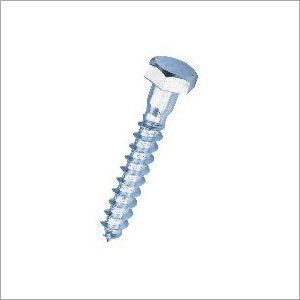 Stainless Steel Lag Bolts