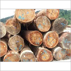 Meranti Logs