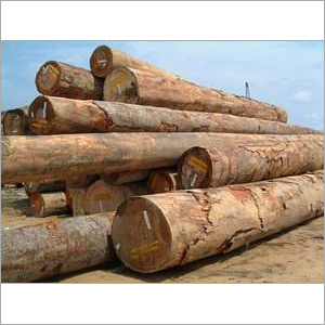 Keruing Logs