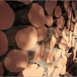 Red Sal Wood Logs