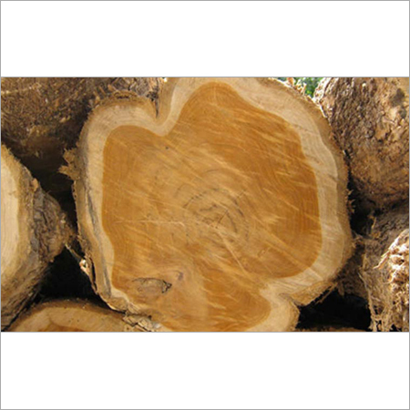 Mersawa Wood
