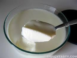Fresh Curd